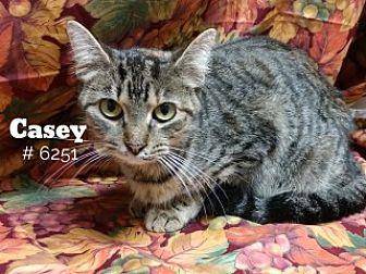 Casey (20126466)