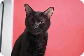 Catelyn (17458497)