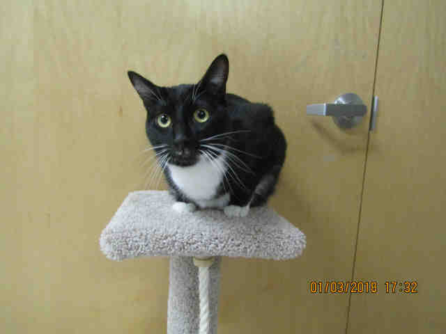 OSCAR (A040917)