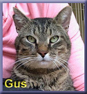 Gus (20715923)