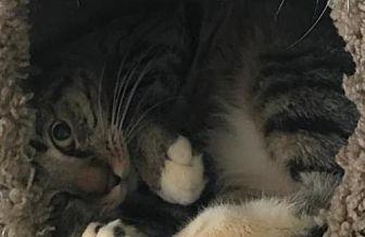 *Jelly Bean (20977159)