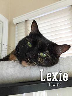 Lexie Oliver (21250990)