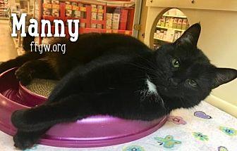 Manny (21385789)